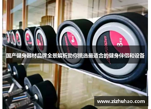 国产健身器材品牌全景解析助你挑选最适合的健身伴侣和设备