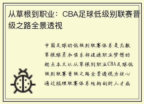 从草根到职业：CBA足球低级别联赛晋级之路全景透视