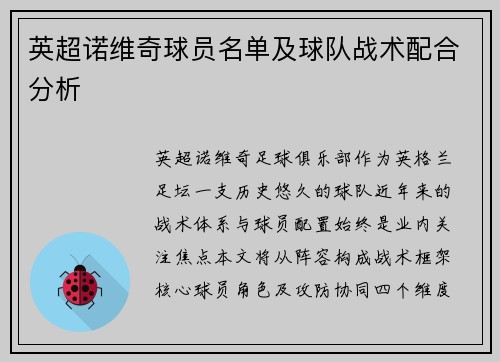 英超诺维奇球员名单及球队战术配合分析